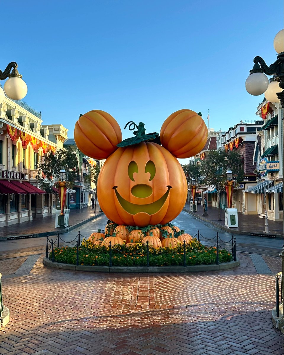 Disneyland's tweet photo. spooky season is calling 🎃🦇 https://t.co/tDqTpNzZyv