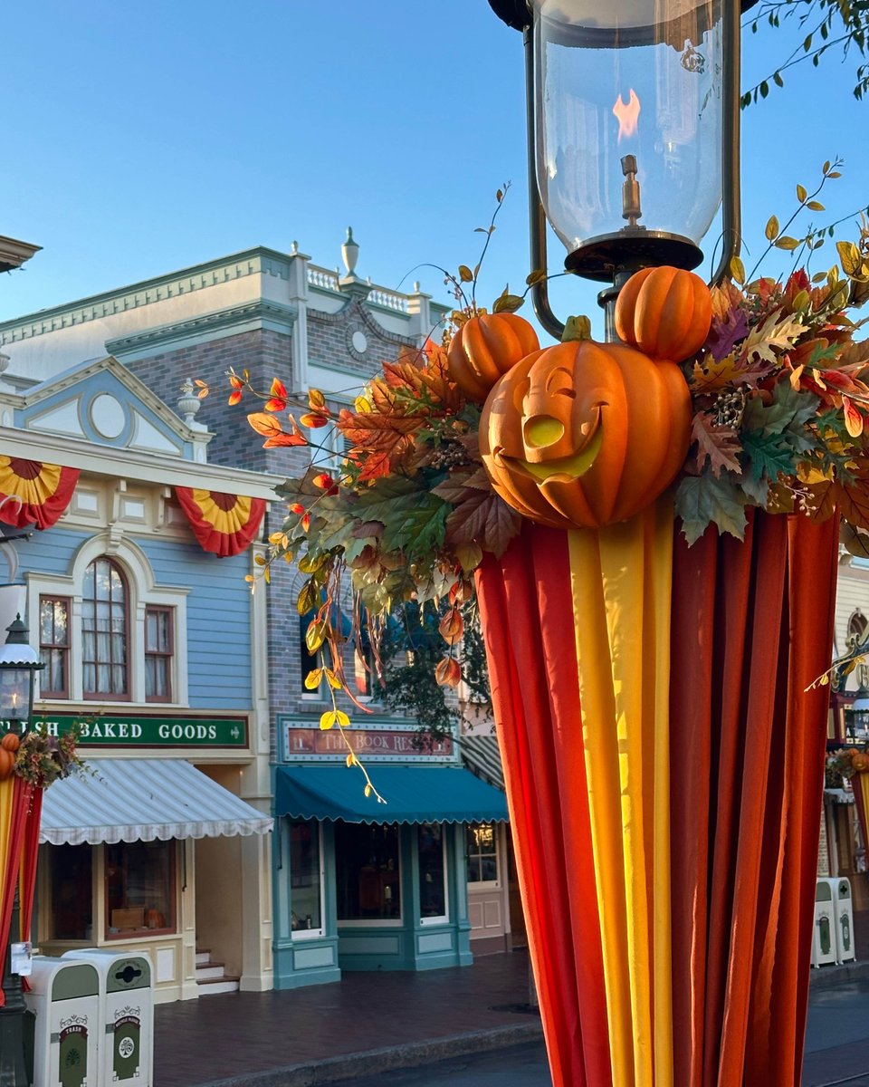 Disneyland's tweet photo. spooky season is calling 🎃🦇 https://t.co/tDqTpNzZyv