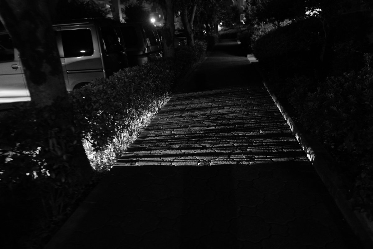 tune_h's tweet photo. 帰り道のQさん
#typ116 https://t.co/KqSzVogCkp