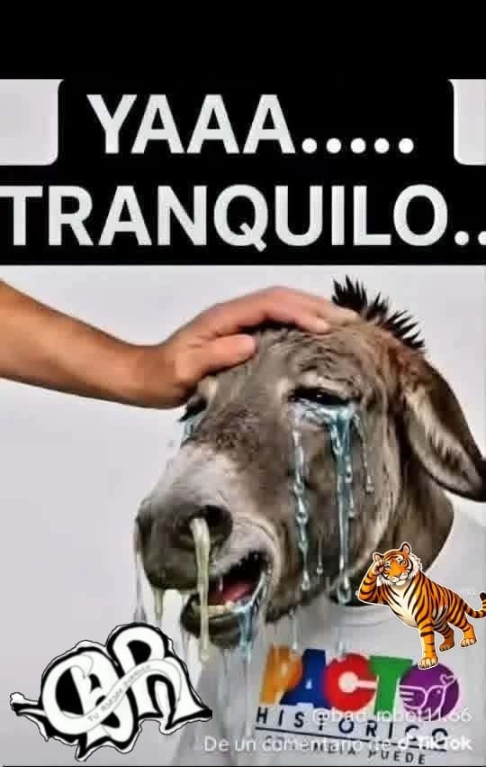 carlos19783's tweet photo. @osoriosantiago https://t.co/OwQnnVGmzv