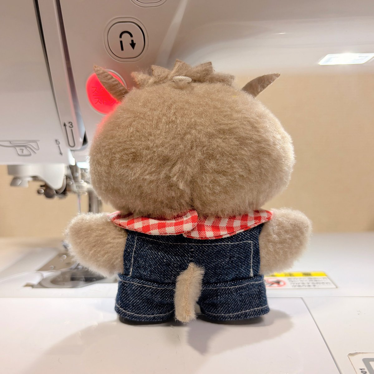 sk105_7's tweet photo. ちみぼっくんサロペット似合いすぎて🤦‍♀️
赤いバンダナ似合うわ〜！！ https://t.co/sRimWGQrdT