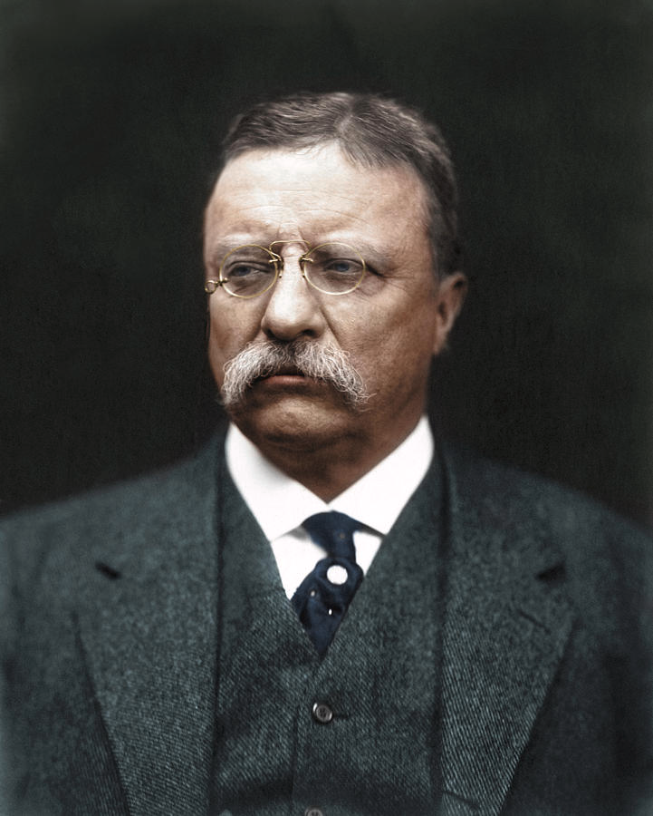 EchoesofWarYT's tweet photo. Theodore Roosevelt, the 26th President of the United States, once got shot in the chest on his way to give a speech and then gave the entire 90-minute speech anyway, with the bullet still inside him. In 1912 a man shot him point blank right before he was set to speak in Milwaukee. The bullet was slowed by his steel glasses case and a folded 50-page speech in his coat, and it lodged in his chest. Roosevelt figured that since he wasn't coughing blood, the wound wasn't fatal, so he refused to go to the hospital, walked on stage, opened his bloodstained shirt to show the crowd, and told them, "It takes more than that to kill a Bull Moose." Then he talked for an hour and a half. Doctors later decided it was safer to just leave the bullet in his body, and he carried it for the rest of his life.

That was completely on brand, because Teddy was the most physically insane President in history. In his free time in the White House he boxed. He sparred so hard that a punch permanently blinded him in his left eye, an injury he kept secret for years. When boxing got too dangerous he switched to jiu-jitsu and judo, training multiple times a week with a Japanese master. He also loved to go swimming in the freezing Potomac River in the dead of winter, sometimes dragging foreign diplomats along and making them strip down and swim across the icy water with him.

His White House was also basically a zoo. His kids and their pets ran wild through the mansion, including a badger named Josiah that would nip at ankles, a small bear, snakes, a one-legged rooster, guinea pigs, and a pony that they once snuck into an elevator to bring upstairs to a sick child's bedroom.

And somehow, in the middle of all this, he was one of the most well-read men to ever hold the office. Roosevelt devoured about a book a day, sometimes multiple, even while running the country, and wrote around 35 books of his own.

So the real Theodore Roosevelt: took a bullet to the chest and finished his speech, went blind in one eye from boxing in the White House, swam icy rivers for fun, kept a badger and a bear as pets, and still read a book a day.

That's a President.