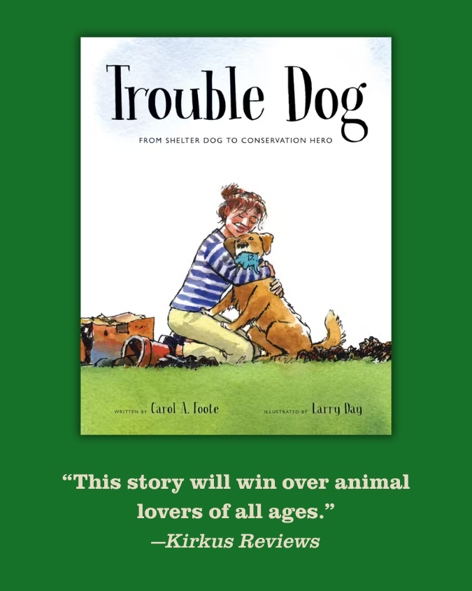 ebyrbooks's tweet photo. We ❤️ our #dogs and celebrate them every day. But especially in August during National Dog Month! 🐾

#childrensbooks #picturebooks #worldkidlit https://t.co/fdztwM5rsa