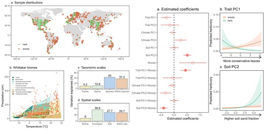JPlantEcol's tweet photo. 【🎉Latest accepted article】
Plant growth form modulates the effects of trait and environment on global leaf insect herbivory
#Woody | #Herbaceous | #Leafeconomicspectrum | #Plantapparencyhypothesis
@PKU1898 @UZH_en @MaximumAcademic
https://t.co/qw87Y9KZbF https://t.co/PfrF7XCVlC