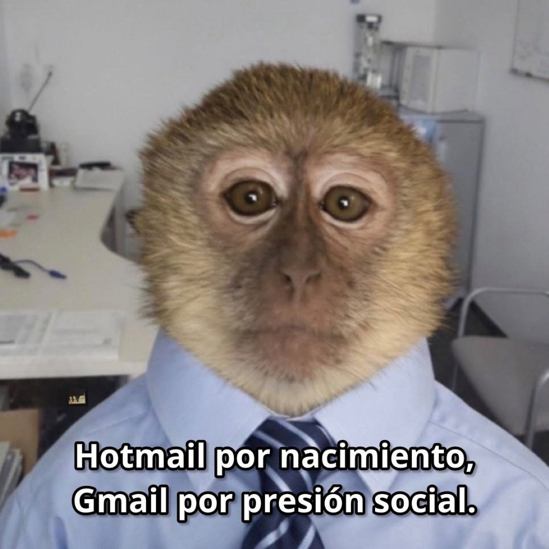 carlaconwifi's tweet photo. en efecto. https://t.co/w2vQ6tEHa8