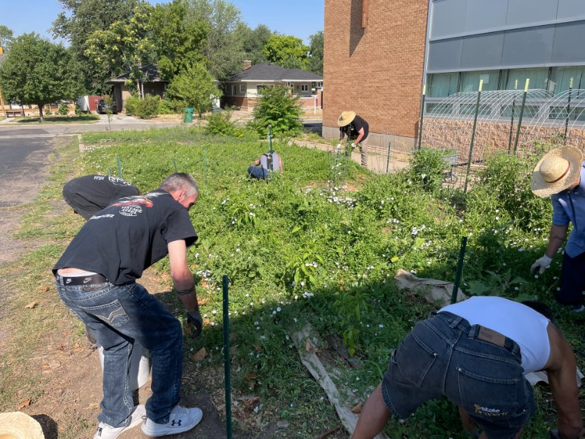 Eden_Streets's tweet photo. Earlier this month, the Weber Recovery Men rolled up their sleeves at Grow Ogden and transformed the South Field from weed-covered to a clear field

This moment was indeed incredible- a job well done by an incredible group of volunteers. It was wild, crazy, and full of heart. https://t.co/XYj9O8ngQt