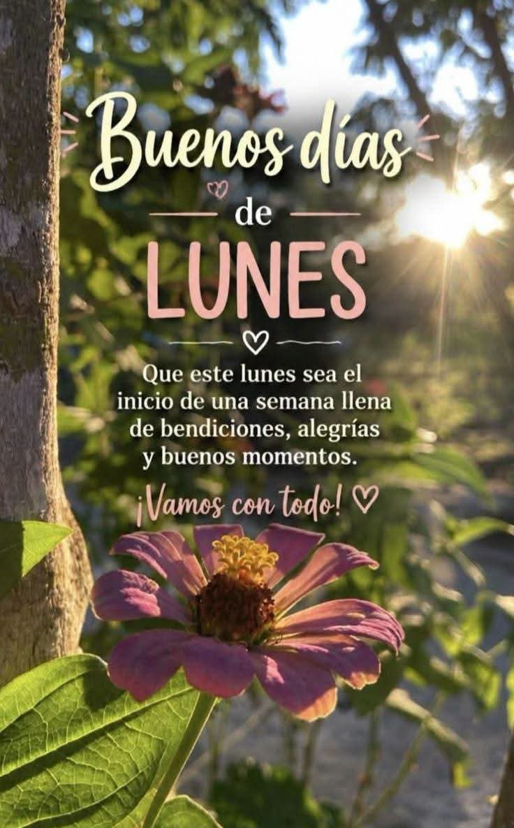 msorteoficial tweet picture