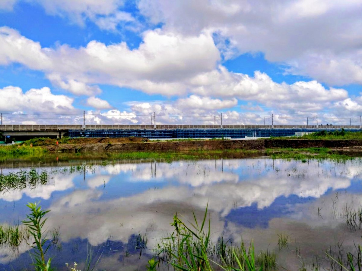 ryuikifunabashi's tweet photo. 「なんだ、#海老川 は氾濫しなかったのか。それなら海老川の上流を開発しても大丈夫だろう」と思った人がいるなら、それは間違いだ。

下の #東葉高速鉄道 南側の写真（8/14午前中）を見てほしい。見渡す限り池になっている。ここに水が溜まってくれたおかげで海老川に雨水が流れ込まず、海老川は #洪水 を免れたのだ。

もちろん、東葉高速鉄道北側も広大な土地に水が溜まっていた。またすでにお伝えしたように海老川の支流の北谷津川も溢れた。おそらく細い念田川、前原川も。
そこに溢れた水を受け止める、土の低地（#遊水地）がまだ残っていた幸運を思わずにはいられない。

もしこれらの土地が全部埋め立てられ、コンクリートの町になってしまったら、もはや海老川の洪水は防げない。
#船橋市 も #千葉県 もこの事実を真摯に受け止め、無謀な土地開発＝#メディカルタウン構想 を見直すべきだ。

また水門や、その内側でせき止められた海老川の水を海に排水するポンプは、電気やA重油で動くことを忘れずに。もし停電や浸水でこれらが使えなくなれば、もはや洪水を止める手立てはない。

自然を侮ってはいけない。文明の利器なるものを過信してはいけない。国土交通省が言うように、#流域治水 の理念をもって、河川の流域に広がる遊水地を、なんとしても保全しなければならない。