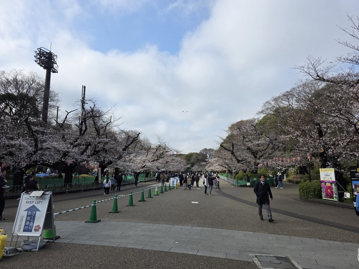 geegissss's tweet photo. สวนที่สวยที่สุดในโตเกียว Ueno Park ช่วงซากุระ เขามานอนปูเสื่อฮานาบิเม้ามอยกันมีทั้งเด็กทั้งผู้ใหญ่ แบบโคดอยากให้มีแบบนี้ที่ไทยเลย อากาศเย็นๆนอนดูดอกซากุระฟินๆทั้งวัน ชอบมากๆ ใครเคยไปฮานาบิบ้างอะๆ มาเล่าให้ฟังหน่อยจิ 🩷🌸
#เที่ยวญี่ปุ่น #Tokyo #UenoPark https://t.co/cli2Xzhc2E