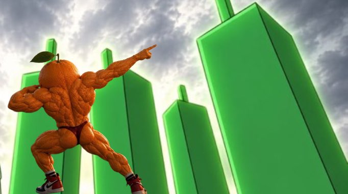 eric_gecoci2977's tweet photo. @WhaleEverything Keep believing and hold strong 
$Udin din din dun 🍊 https://t.co/JzR5ie6wTH