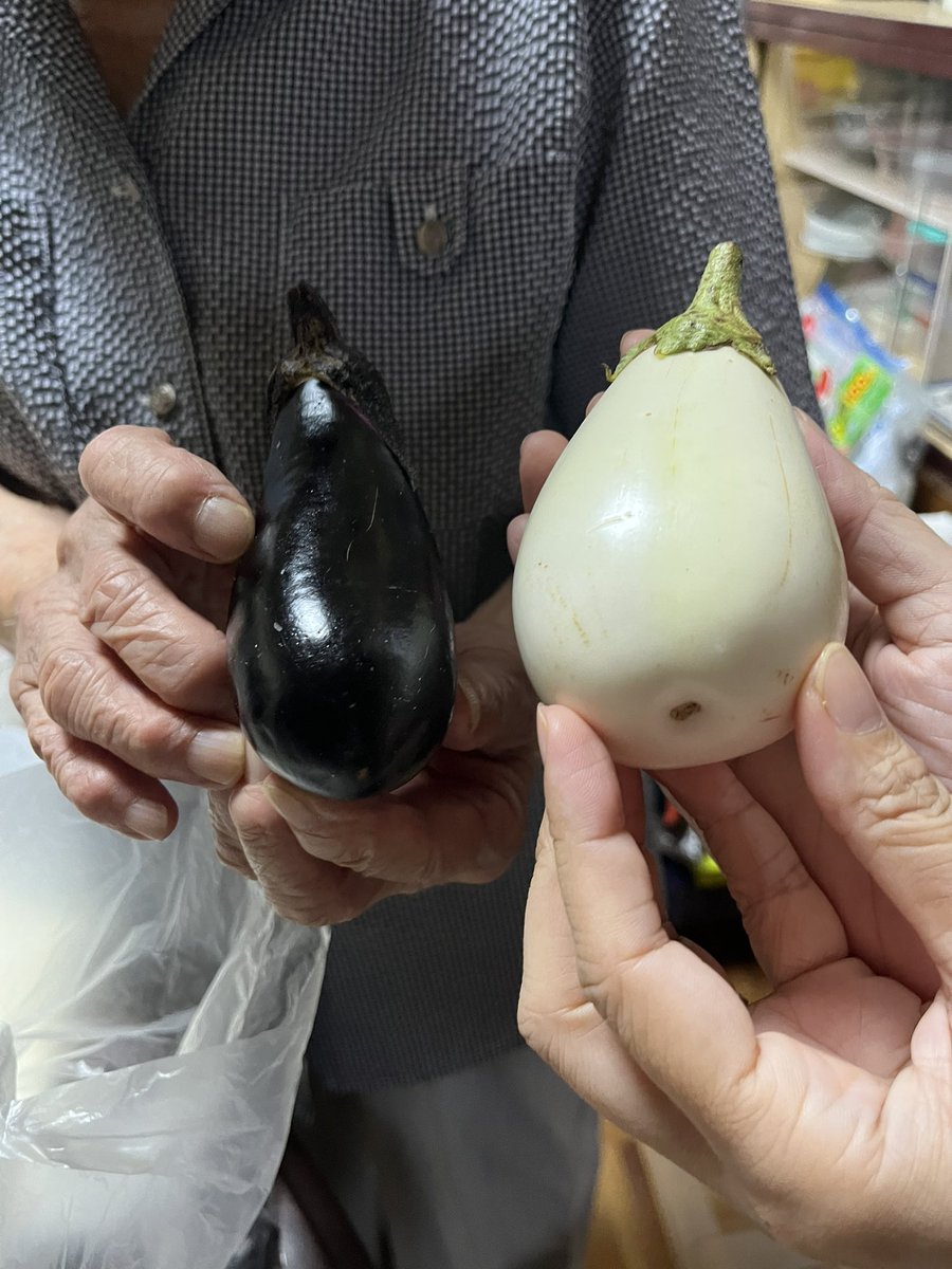 fuchimotoryo's tweet photo. 結婚式のあと、その足で故郷へと。実家のごちそう。帰省の意味や空気は度ごと変わる。紫だったり白だったり。 https://t.co/1yFuMmbwaM