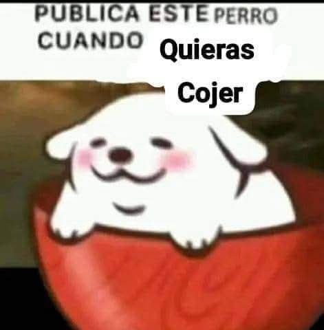 ekkanss's tweet photo. Lo pública diario https://t.co/ccrVj607jg