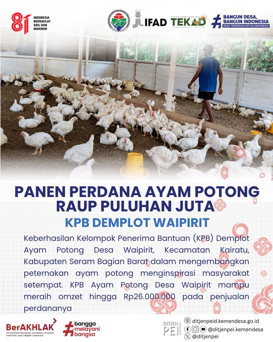 DitjenPEI's tweet photo. #Tekad KPB Demplot Ayam Potong Desa Waipirit, Seram Bagian Barat, berhasil mencatat omzet sekitar Rp26 juta dari penjualan perdana 350 ekor ayam broiler. Tingginya permintaan masyarakat dan peluang pasar, termasuk kebutuhan dapur MBG https://t.co/wNK9J2Kp11