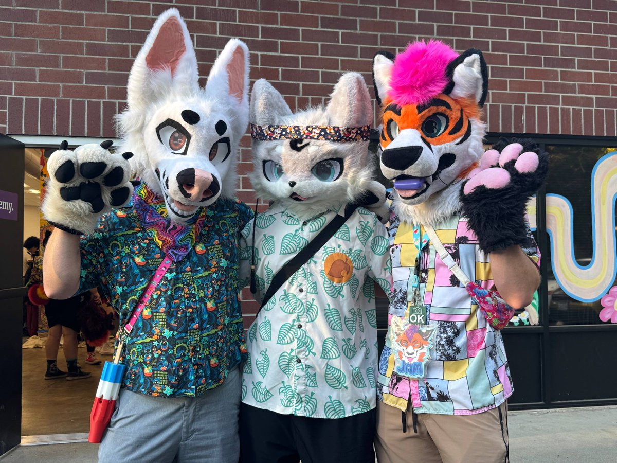 NewtonNoodle's tweet photo. 🐶🐺🐯 https://t.co/ak3XkWWdp6