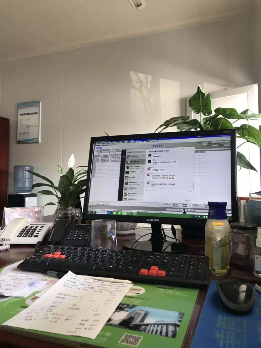 jasmineiv's tweet photo. Caught my intern trying to use the office plant to proofread their essay—said the leaves looked "super crisp for editing"… need new staff rules (and a snack for the poor plant). https://t.co/iAcGSwqi4T