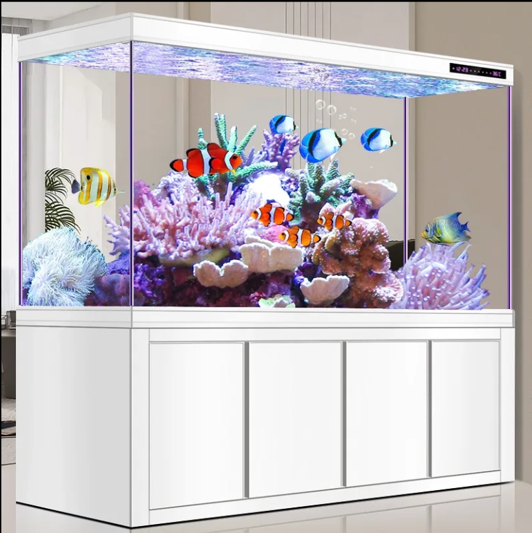 QHomegoodstore's tweet photo. Showcase the beauty of your aquatic life with our Ultra White Aquarium. Featuring crystal-clear glass and a sleek, modern design, this aquarium creates a stunning display while providing a spacious home for your fish. 

https://t.co/EiOBRYcY6t

#Aquarium #qualityhomegoodsstore https://t.co/YOHDzaEtnJ