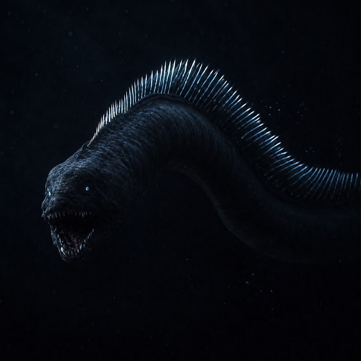 Sailfinserpent's tweet photo. The Sailfin

a Symbol for The deep trencher , the deep believer , the deep investor 

$Sailfin https://t.co/L0vyIFJHnk