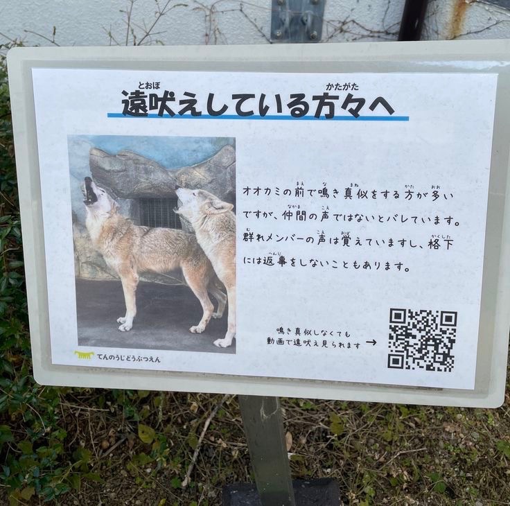hayakore's tweet photo. https://t.co/6WVIcGyYTF
