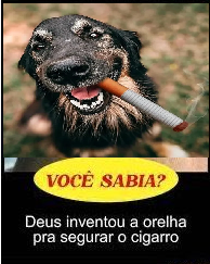 Nesquirkyy's tweet photo. obgd cachorro ovelha🥺 https://t.co/EbURS3uabP