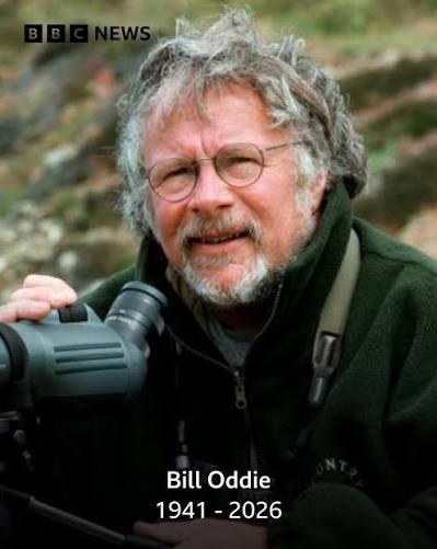 StephenMoss_TV's tweet photo. Finally caught up with Birding with Bill Oddie on BBC Iplayer this evening - and to my surprise and delight THE WHOLE OF SERIES 2 is up there! Enjoy Shetland, Farmland, Heathland, London and Trinidad &amp; Tobago as well as Bill’s Beginnings! Nostalgia fest! Please RT. https://t.co/NsrQZg0PI5