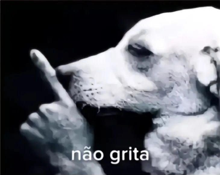 heonsut's tweet photo. @Josoares451 https://t.co/ZuA4cvlVgv