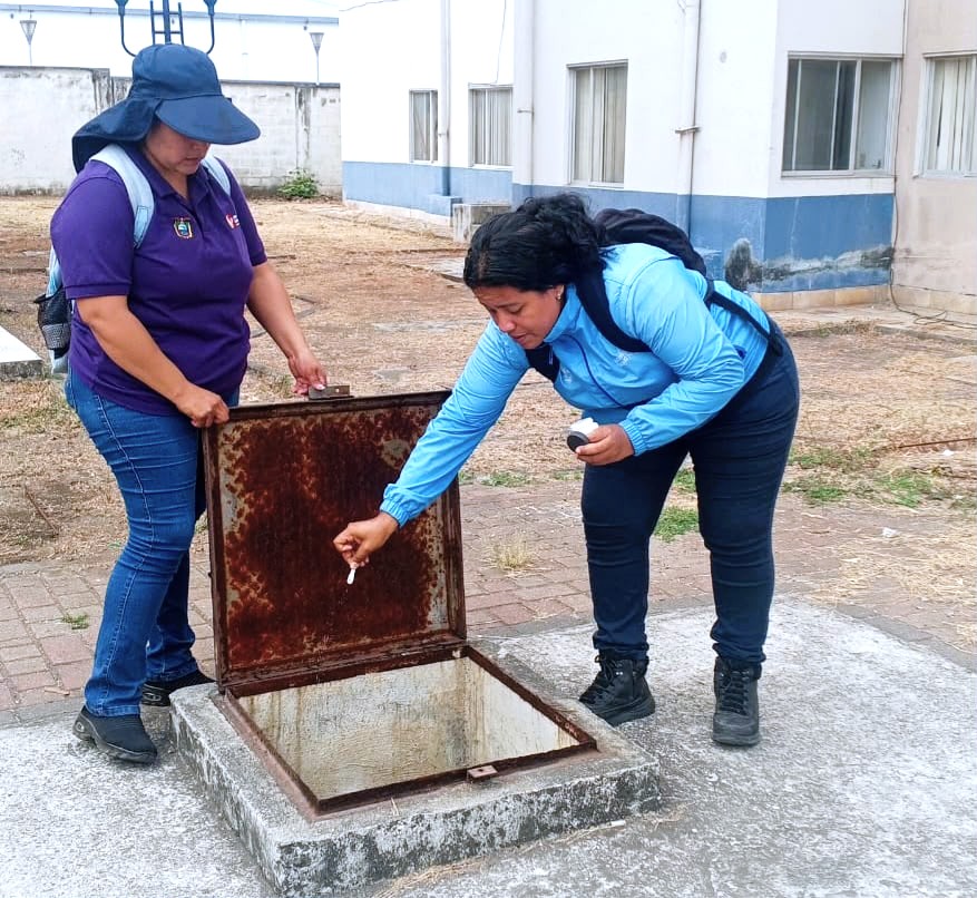 Salud_Guayas's tweet photo. El equipo de #ControlVectorial de @Salud_ec se activa en el #NorOeste de #Guayaquil para realizar la destrucción de criaderos de mosquitos 🚫🦟 y aplicación de abate.
De esta manera protegemos a la comunidad contra el #Dengue, zika y chikungunya.
#MSPEnTerritorio https://t.co/XrDM5gsagb