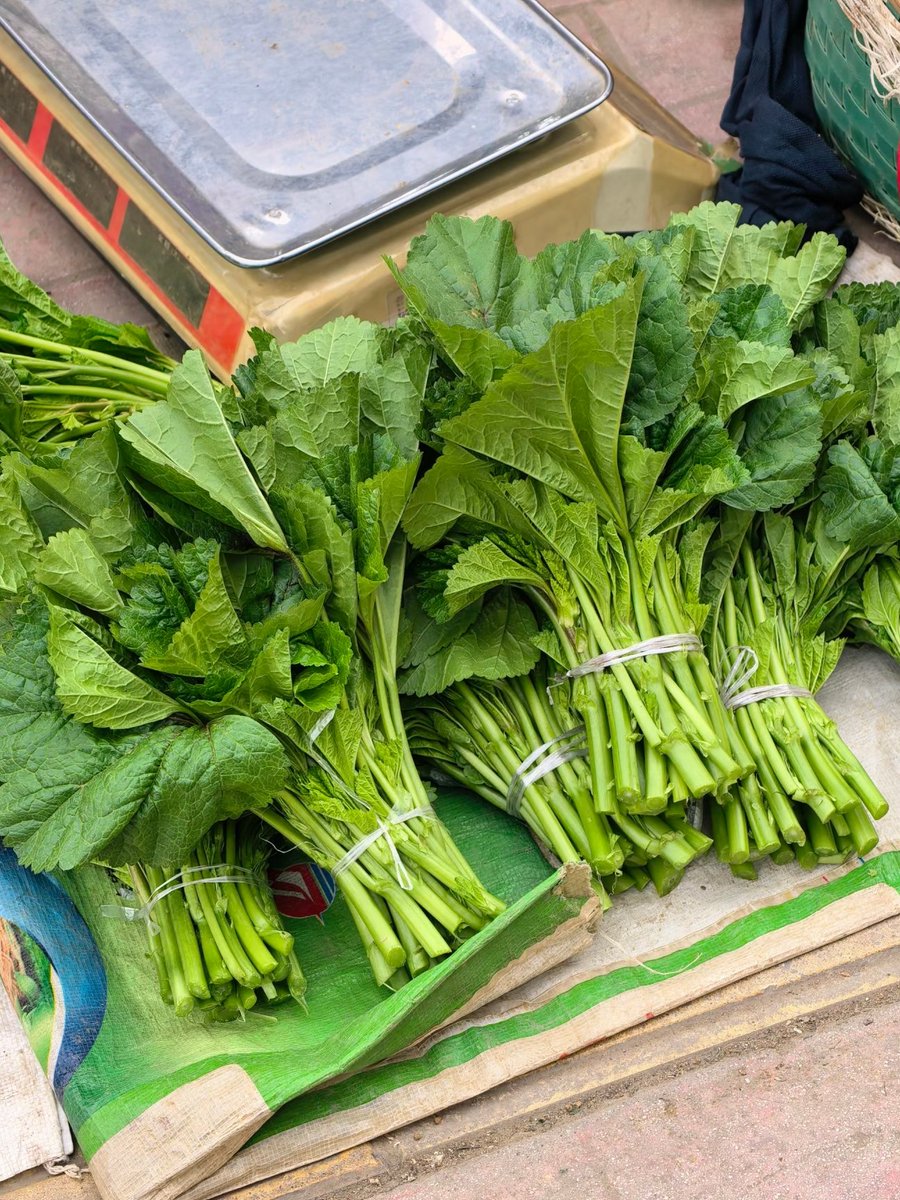 bizzebooks's tweet photo. Fresh seasonal veggies at local farmers' market! Grab crisp spinach, ripe tomatoes u0026 sweet corn for tonight's dinner.  #LocalFood https://t.co/t0mcWtaGzT