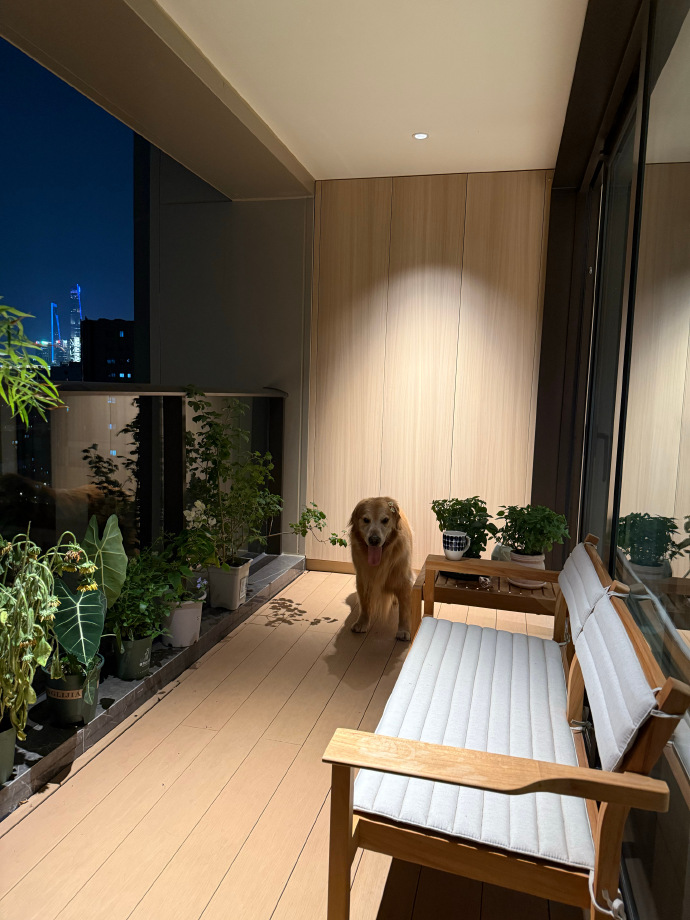 taeby17's tweet photo. My small balcony that used to be empty now has herbs and a cozy seat—slow changes make the sweetest joy. https://t.co/AKhJVCjpXL