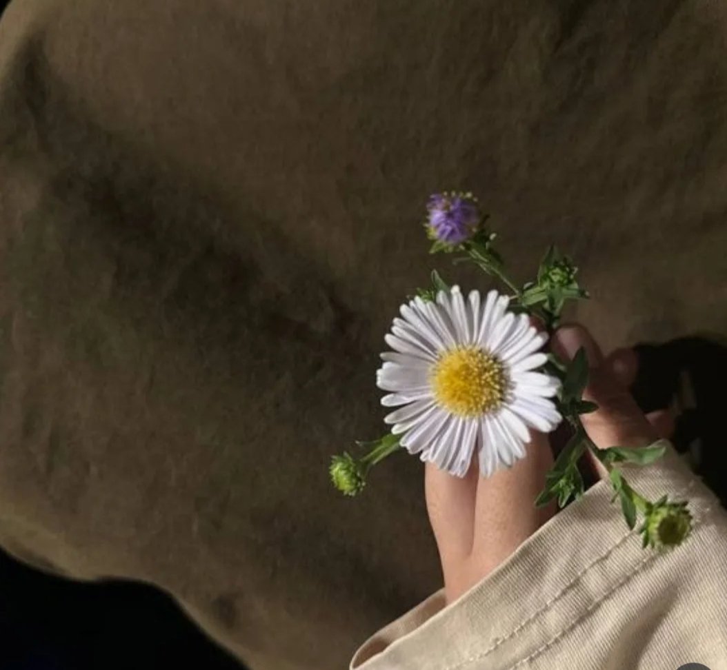 Mercan_065's tweet photo. "İnsan, ara sıra içinin Hîra'sına çekilmeli .." 🍃 

#cahitzarifoğlu https://t.co/VLr5h2KoD1