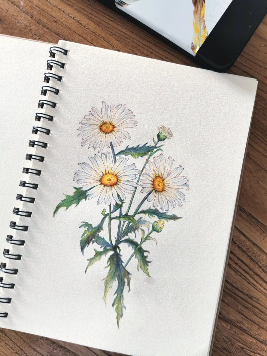 ElodieBoyer19's tweet photo. Want to pick up a new relaxing hobby this week Start with 10 mins of daily watercolor doodling—no fancy skills needed, just paper u0026 colors!  #HobbyBoost https://t.co/Q0Aw5u2VP2