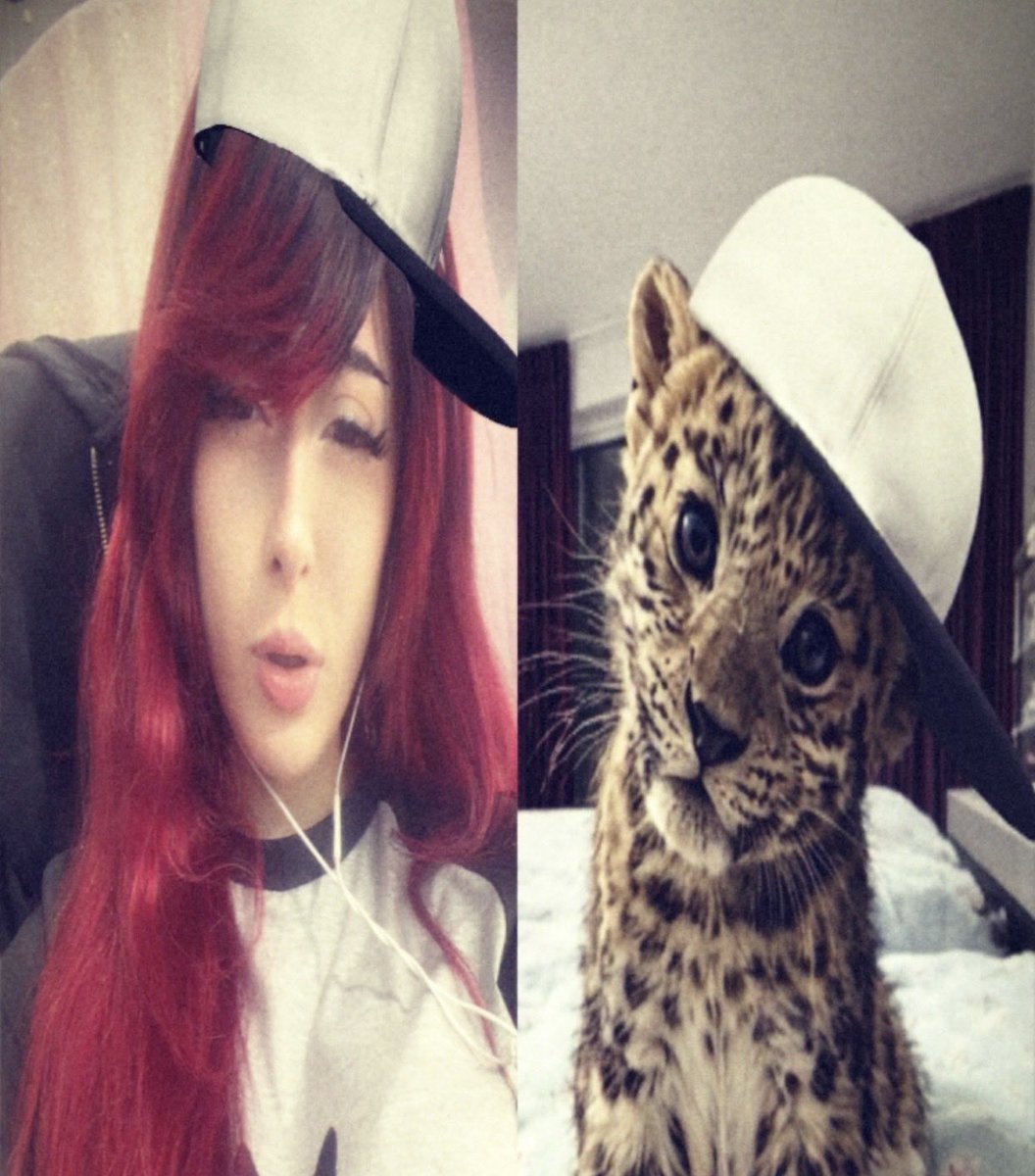 marisoki's tweet photo. yo nerds am back and streaming WOO
https://t.co/jvfqRK2oxv https://t.co/z0LaN4Y132