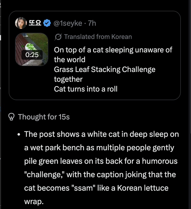 Ni99errrr's tweet photo. This is so good and viral

People are turning this cat into a ssam (a korean lettuce wrap)

Theyre setting up leaves on the cat while it is unaware and sleeping so cute

We havent had a cat runner in a while so this will be the one https://t.co/xoecqhYViq