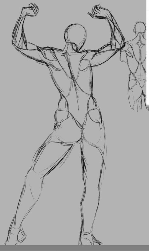 An30M1's tweet photo. Just some anatomy practise sketches(??) with one of my ocs https://t.co/4yRkoymxrX