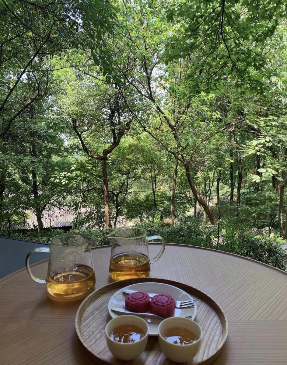 SeonghoHon34086's tweet photo. 上周在杭州逛到孤山脚下，偶遇满枝白梅飘落在茶桌，连喝三杯龙井，风里都是春的味道，这大概是旅行最惊喜的馈赠～， https://t.co/N35U84gPUv