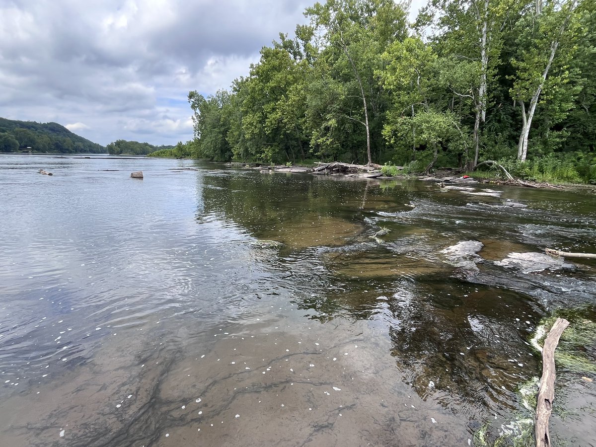 chromolyqueer's tweet photo. i napped on the river and feel anew https://t.co/P8nmhqPbE1