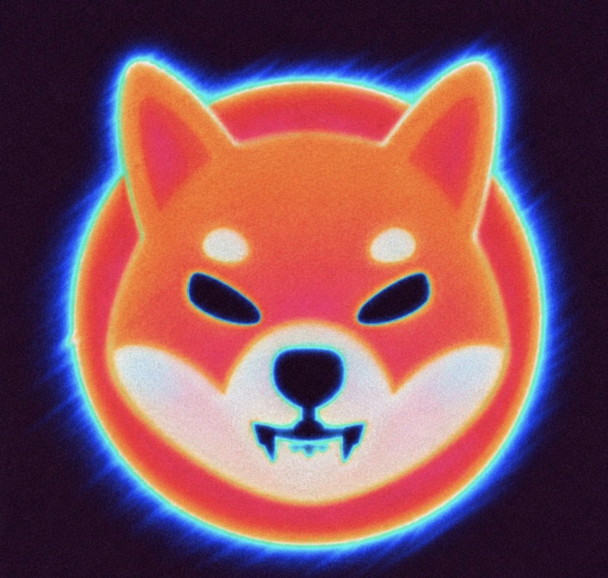 Shibtoken's tweet photo. even ghosts need a guard dog.

fortunately, we know a guy. https://t.co/fkVSHc72lq