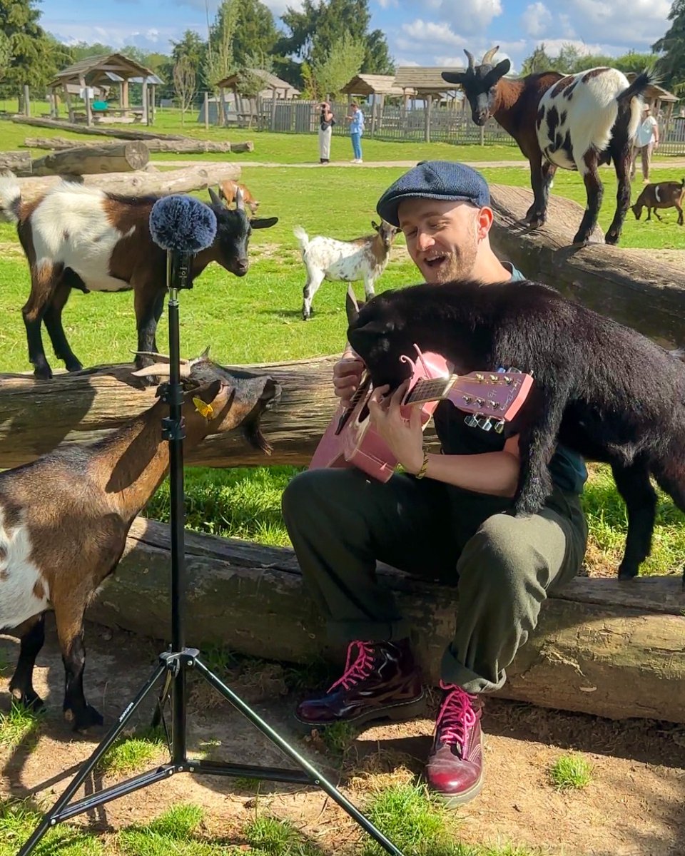 phillyzoo's tweet photo. 🎶💕 Last chance! Limited tickets available to meet viral musician PLUMES as he serenades the Zoo's animals on Thursday 8/20 and Friday 8/21. He'll also be rehearsing on Tuesday 8/18 and Wednesday 8/19. Spot him on your daytime visit to the Zoo!

🎟️ https://t.co/icwzEPLIZY https://t.co/W9HOrFjq7L