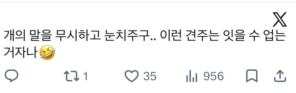8819462866tk's tweet photo. 다같이 우르르 올린거 너무너무 무서워…
절대 견주라는 말 쓰지 말고
ㅇㅅㅌㅇㅅ분들 모두 개인라방만 합시다!!! https://t.co/5g8senH1Ib