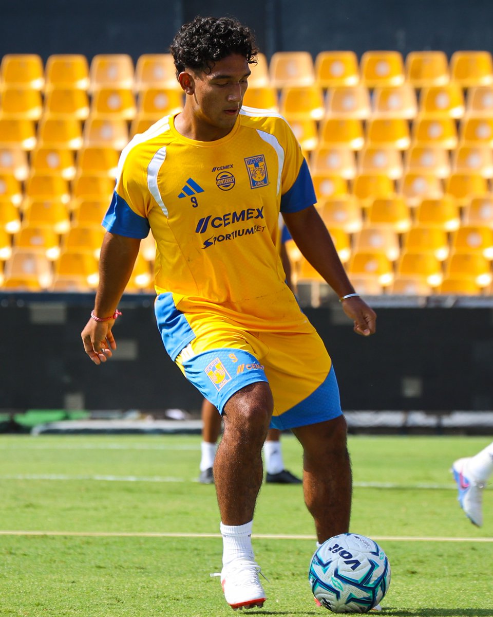 TigresOficial's tweet photo. ¡Trabajando fuerte, Diego! 🧠 https://t.co/XWkw3SVfQF