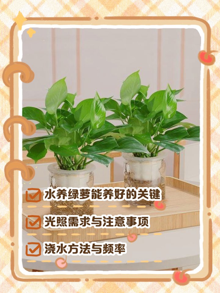 EveHilll301's tweet photo. [Pro tip for your pothos: Water only when the top 2 inches of soil feel dry! No overwatering = happy, lush leaves.  #PlantCareTips]， https://t.co/gVvZjeuGNp