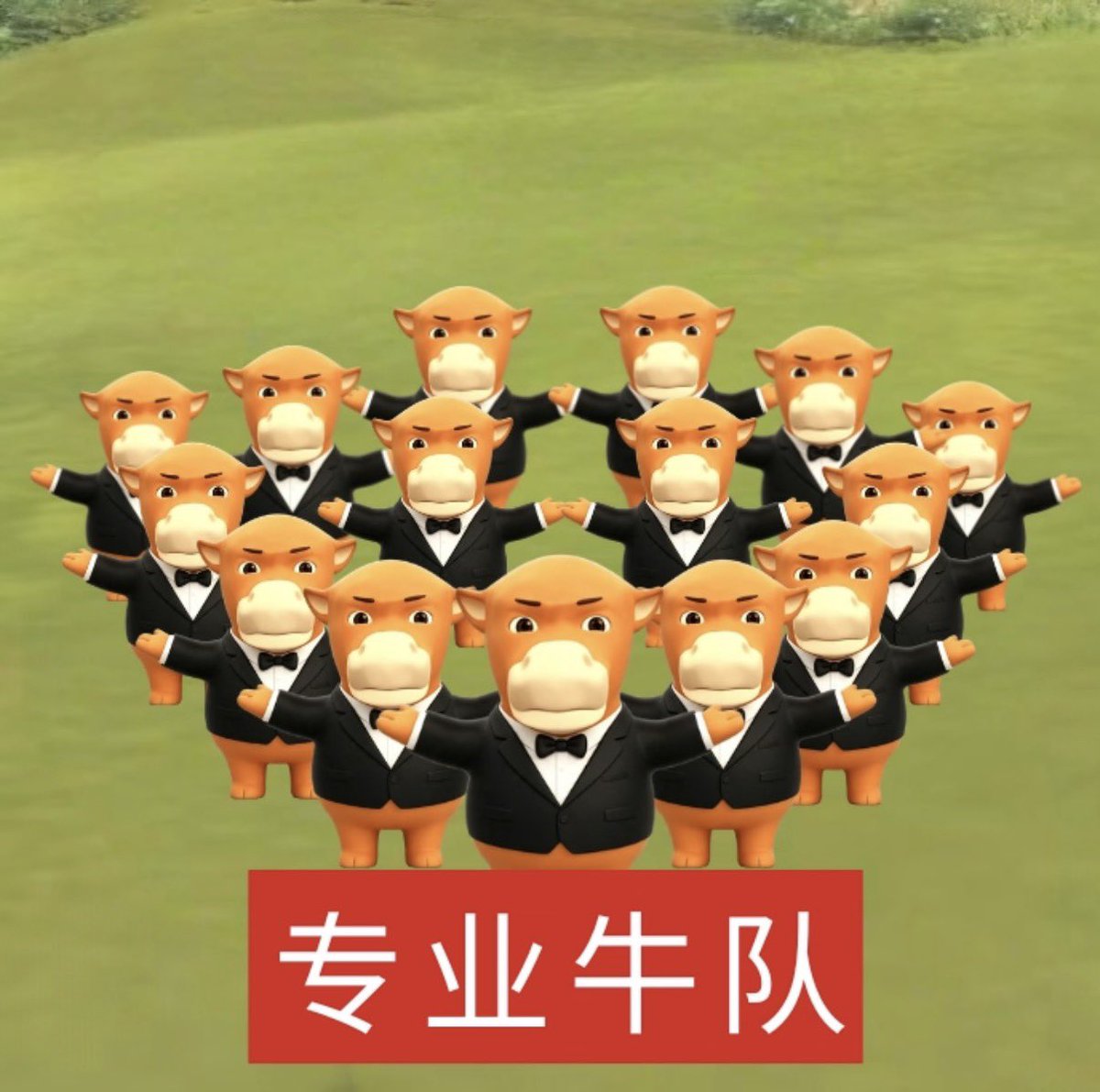in927772's tweet photo. 准备1000粉了，回馈一下粉丝，拿1000U抽十个100U

给亏损💸的人回馈一下，转帖即可，截图然后发送你亏损的地址，我这人不多应该挺好中 https://t.co/q3N6gGfs2t