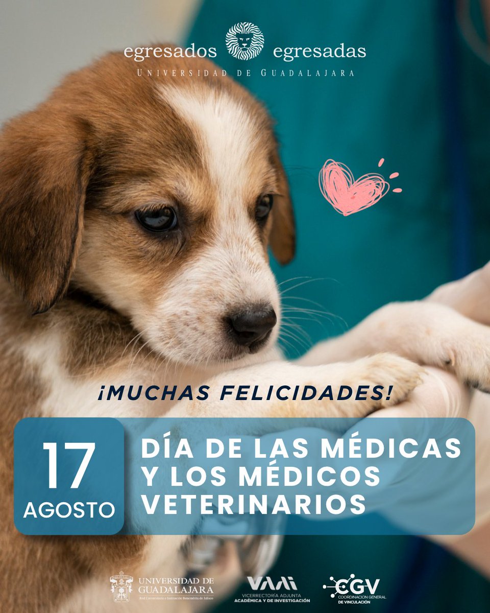 EgresadosyEXUDG's tweet photo. ¡Muchas felicidades a todas las médicas y los médicos veterinarios, especialmente a quienes son egresadas y egresados UdeG!
#OrgulloUdeG https://t.co/NcMXQW2Vhi