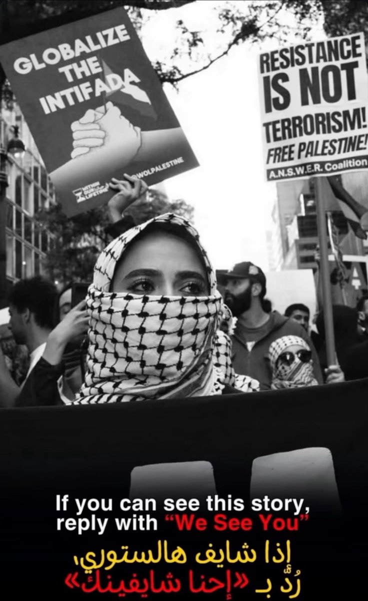 DanielSeddon2's tweet photo. If you can see this story, reply with . we See you. #GazaGenocide‌ https://t.co/DDzchN2gzv