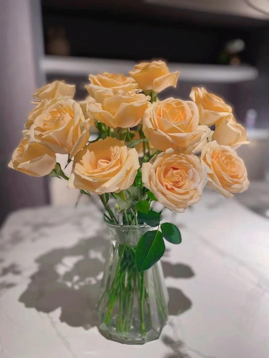 Dame_1Mel's tweet photo. Flower arranging with a romantic, cosmic perspective is truly a very therapeutic activity. https://t.co/EbzrDKcqCL