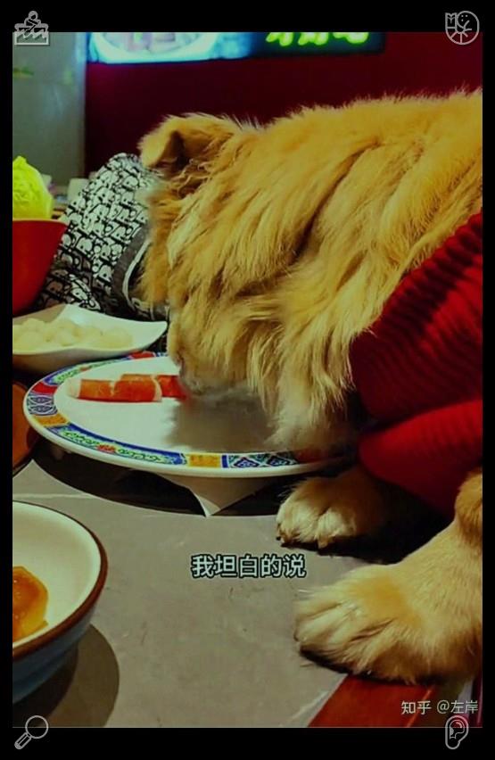 24919390's tweet photo. 🍞Pet store purchased feline nutrition 769666Outdoor meal in the grassland Greens and stacked bread slices https://t.co/DRpRDdq5EA