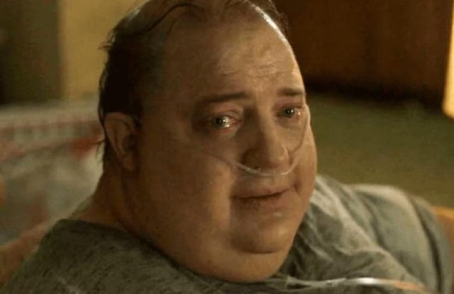effectfully's tweet photo. how GitHub looks at its users after being forced to ingest 12 bajillion lines of hyperslop per second and then getting blamed for being down https://t.co/GBaEopy4va