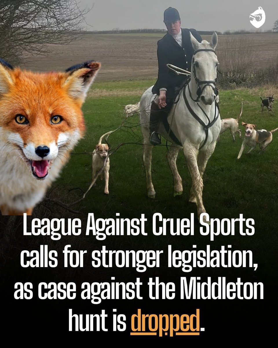ProtectTheWild_ tweet picture