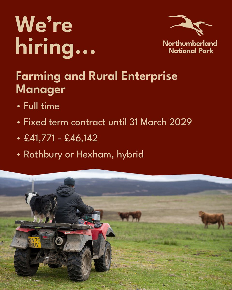 NlandNP's tweet photo. We're hiring... a Farming and Rural Enterprise Manager. 

This influential role leads a highly effective team and helps shape how farming and land management contribute to nature recovery, climate resilience and thriving rural communities. https://t.co/fGRdfuMG7W
