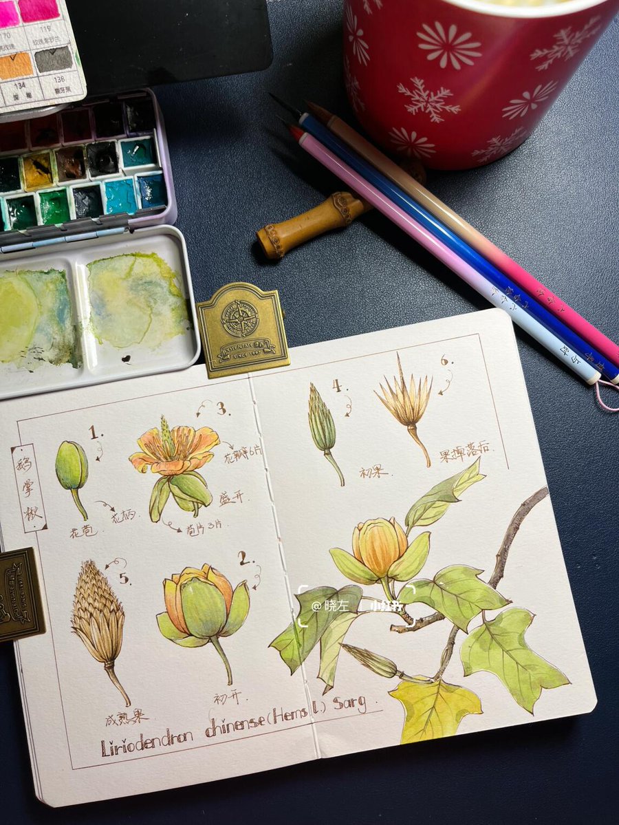 SimpleEaglbdk's tweet photo. Cultivating a new hobby is like growing a tiny seed – give it 15 mins a day, water with patience, and watch it bloom into something you love  Today I’m trying watercolor doodles – who else has started a fun new hobby lately， https://t.co/I7ZhPPdlwE