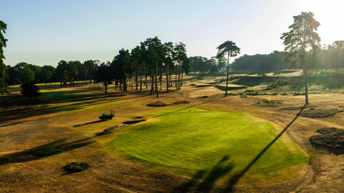 WokingGolf's tweet photo. This summer's drought has tested everyone, but it's also allowed our course to shine.

The heather hasn't bloomed how it should, yet the firm, fast conditions have brought each hole's strategy into sharper focus.

David, his team and our members are all hoping for rain... 1/2 https://t.co/3jN1P7W5Gr
